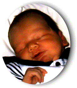 Alexis.gif (23028 octets)