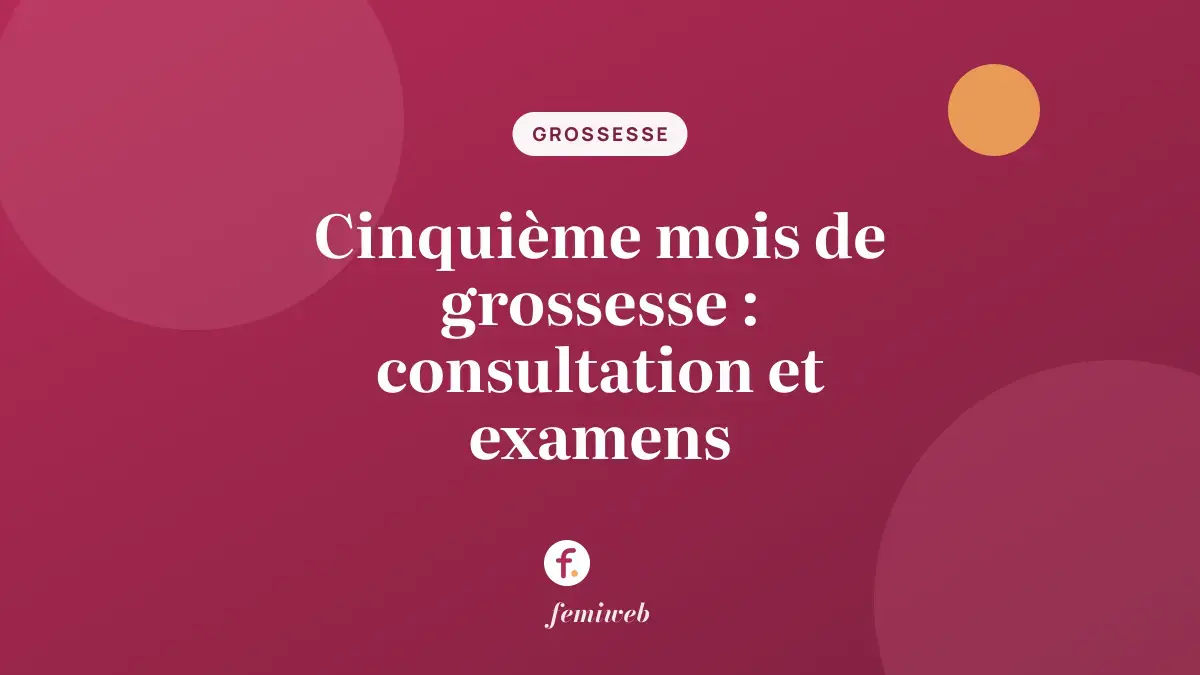 Cinquième mois de grossesse : consultation et examens