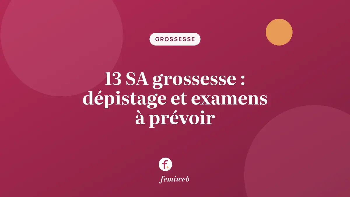 13 SA grossesse : dépistage et examens à prévoir